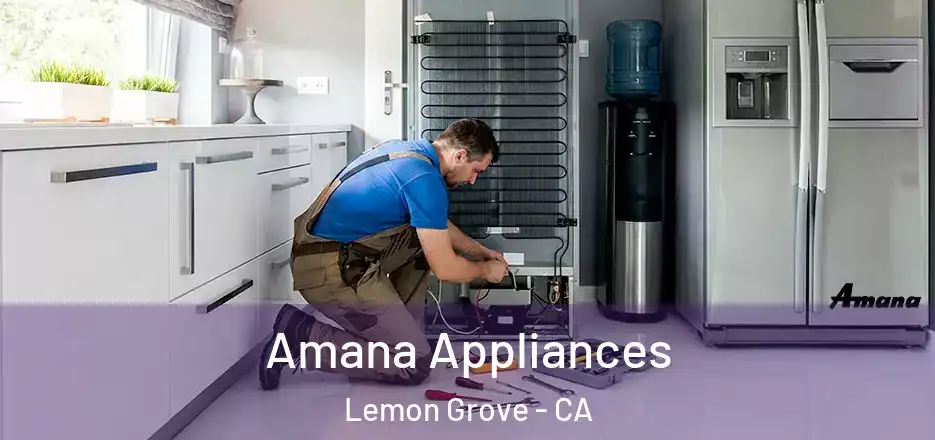 Amana Appliances Lemon Grove - CA