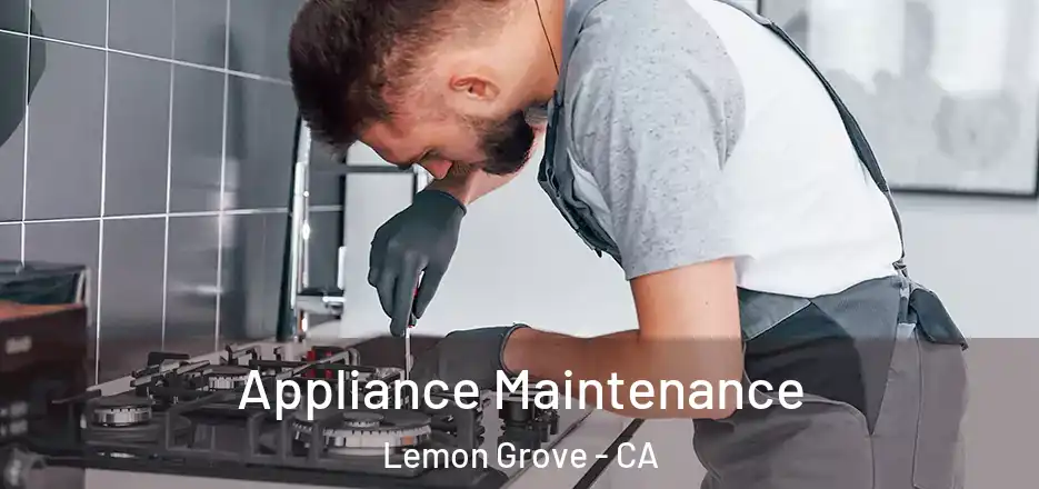 Appliance Maintenance Lemon Grove - CA
