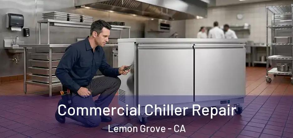 Commercial Chiller Repair Lemon Grove - CA