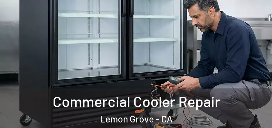 Commercial Cooler Repair Lemon Grove - CA