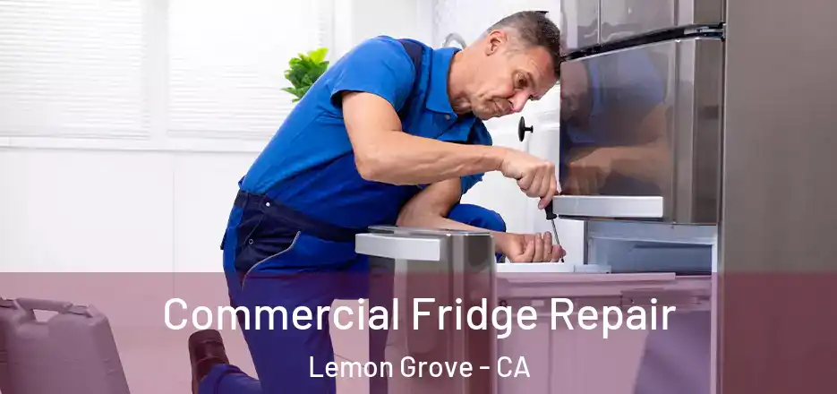 Commercial Fridge Repair Lemon Grove - CA