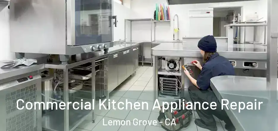 Commercial Kitchen Appliance Repair Lemon Grove - CA