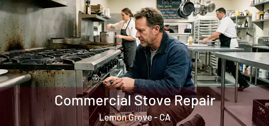 Commercial Stove Repair Lemon Grove - CA