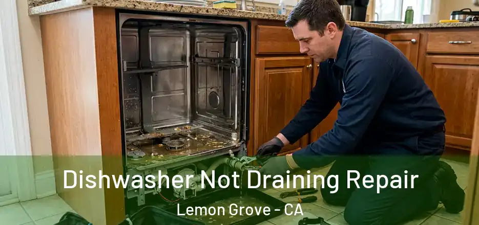 Dishwasher Not Draining Repair Lemon Grove - CA