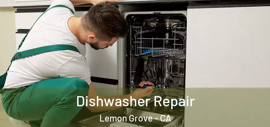 Dishwasher Repair Lemon Grove - CA