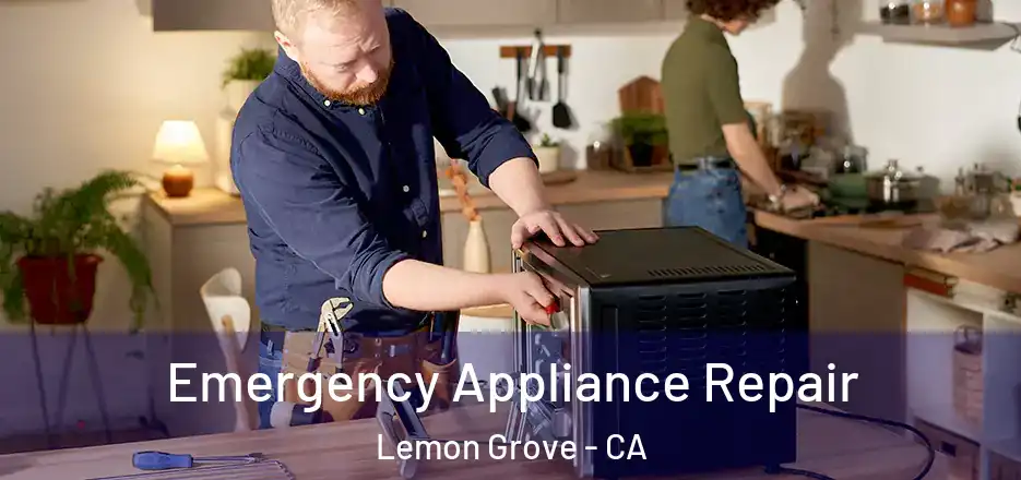 Emergency Appliance Repair Lemon Grove - CA