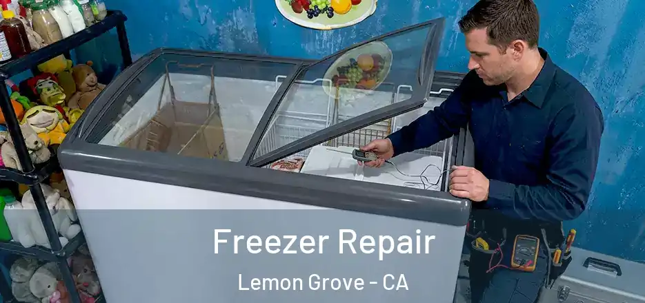 Freezer Repair Lemon Grove - CA