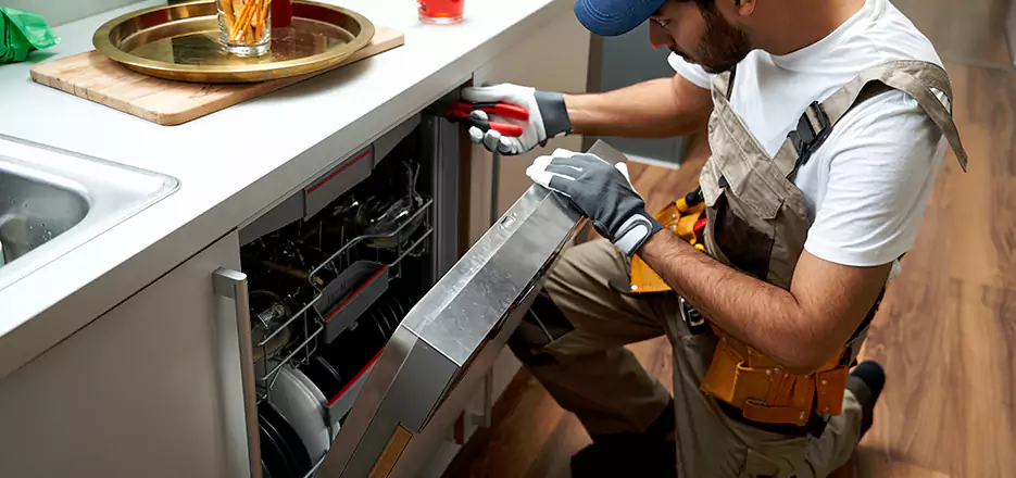 Same Day Dishwasher Not Draining Repair in Lemon Grove