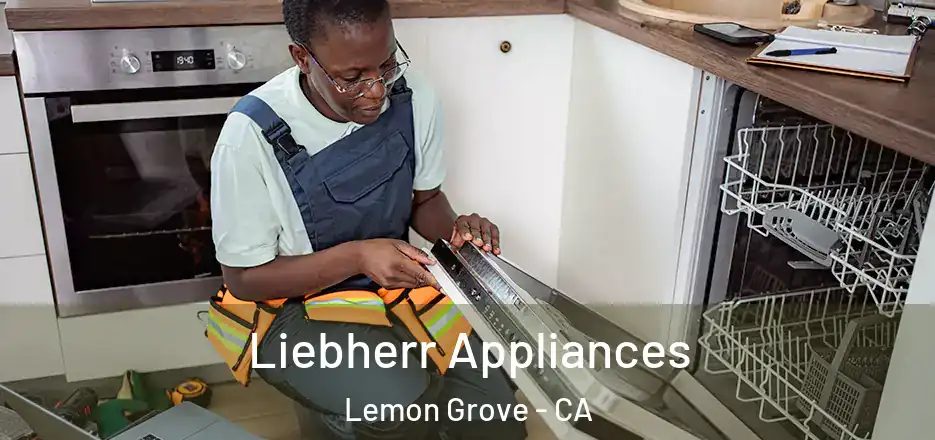 Liebherr Appliances Lemon Grove - CA