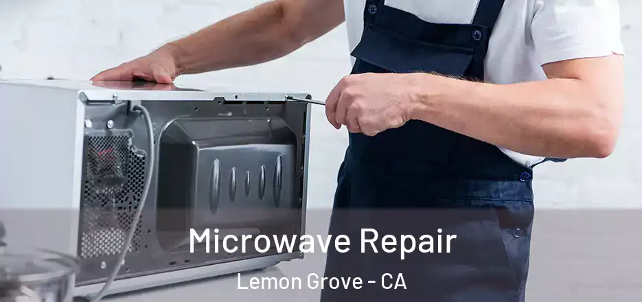 Microwave Repair Lemon Grove - CA