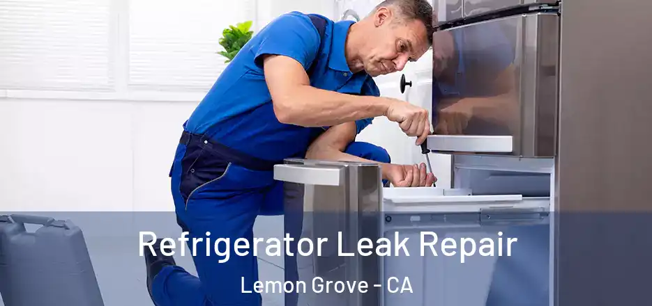 Refrigerator Leak Repair Lemon Grove - CA