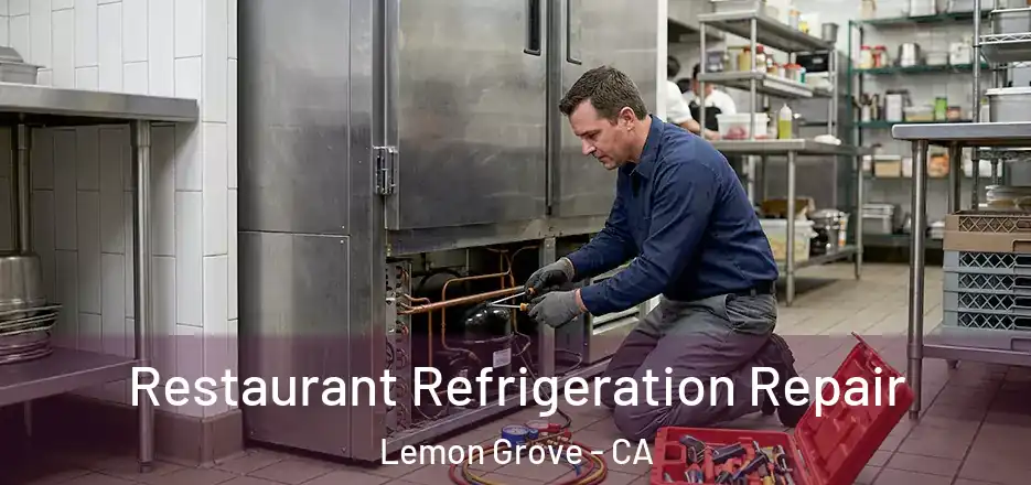 Restaurant Refrigeration Repair Lemon Grove - CA