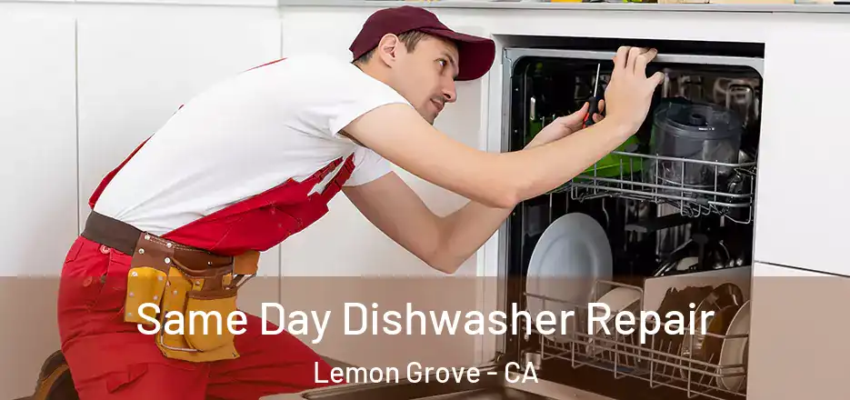 Same Day Dishwasher Repair Lemon Grove - CA