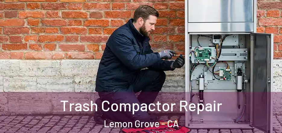Trash Compactor Repair Lemon Grove - CA
