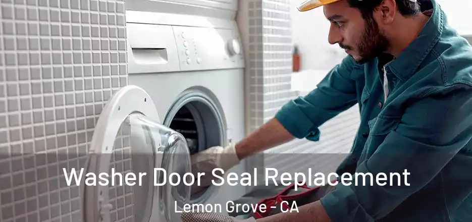  Washer Door Seal Replacement Lemon Grove - CA