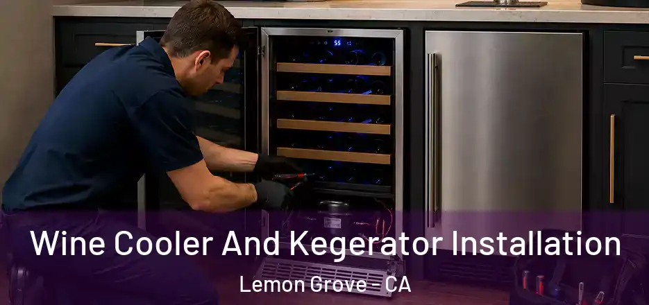 Wine Cooler And Kegerator Installation Lemon Grove - CA